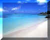 image/Beach3.JPG (219662 bytes)