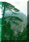 image/HuangShan2.jpg (28860 bytes)